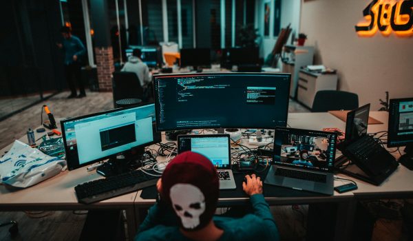 A Machine Learning developer working on a credit scoring model for a financial company.